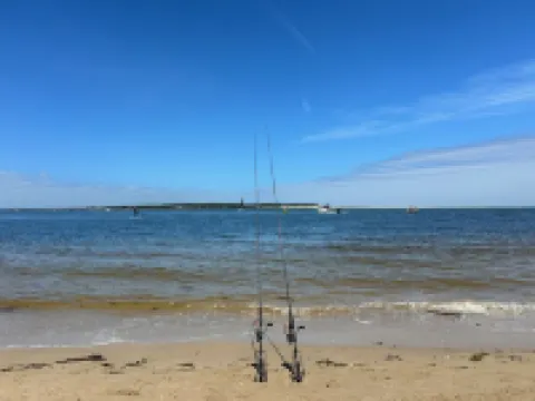 Tangara - A Stylish Newly Renovated Studio Apartment, close to the surf beach.