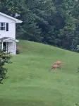 Peace at Pine Run in Hocking Hills: 13 Acres, Hot Tub, & Disc Golf!