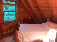 Cozy Cabin with Fireplace, 2 Bedrooms & 2 Queen Size Couch Beds!