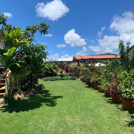 The Hilo Hula Hut