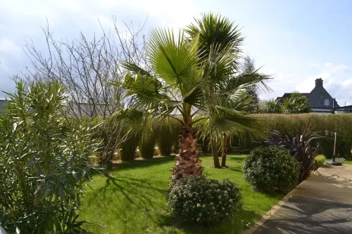 House between land and sea, 10 minutes' walk from the beach and GR34.