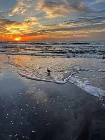 Beachfront! 5 Bdrm/5 Bath! Beautiful Views! Lots of Windows! Game room Upstairs! Отели рядом с достопримечательностью «Port Bolivar»