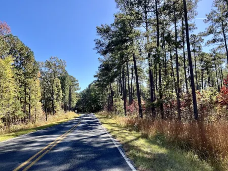 Super clean 7 mile from downtown Newberry safe quiet home Best Deal Around