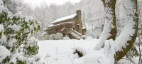 Sleepy Creek-Antique Log Cabin/4 Acre/Bold Stream/Near Boone and BR Pkwy/Firepit