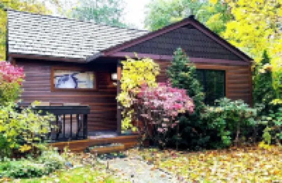 Modern and unique cottage in perfect downtown CDA location for a great getaway!