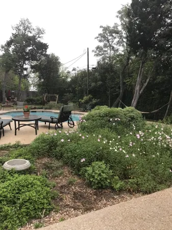 Carol's Cottage  in the quaint Methodist Encampment neighborhood