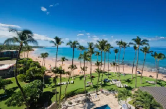 Tracy's Tropical Treasures earned "Best in Kihei" four times and 1 in Maui”