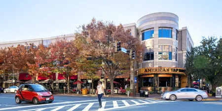 Boutique Bethesda Condo