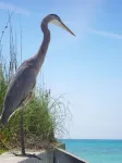 Super Clean!  Minutes to Siesta Key.