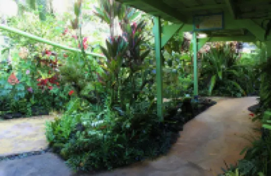 Lava Apartment in Paradise!