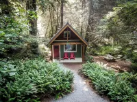 Newly built deluxe cabins, in a private redwood setting near the Smith River