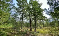 Recently Constructed, Little O Cabin Close to Baldwin-Wolf Lake