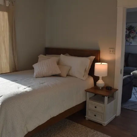 Newly Renovated family-sized apartment downtown, lots of light!