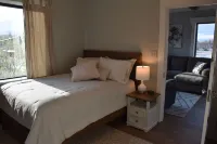 Newly Renovated family-sized apartment downtown, lots of light!