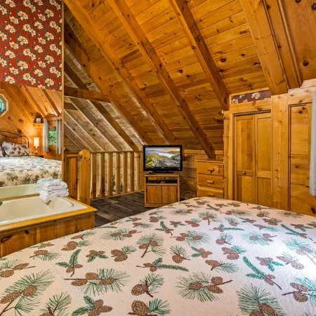 Romantic cabin, Private Hot Tub, King bed, 1.5 miles to Parkway, Flat Driveway.