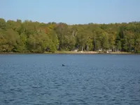 Pet Friendly,Acorn Cottage.  Our cottage is our home - you'll feel at home too!