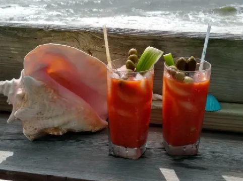 Ocean Views & Chill Vibes with Morning Sun on Ocean Front Balcony