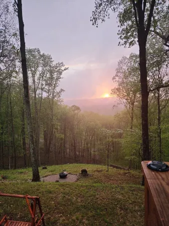 1 Bdrm Modern Oasis Near Everything.