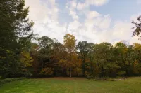 Cozy Cabin by the Slopes - Minutes to the Wisp & Lake! Fire Pit - Hot Tub - Pool