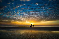 Unique 2 Suites, 3 Min Walk Beach, 5 Min to Downtown Hotels in Vilano Beach