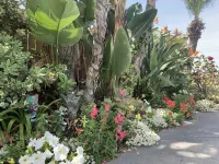 Wow! Private Pool and Spa Home w/Ocean/City Views, A/C, Fire Pit, Putting Green! Hotels near Express Factory Outlet