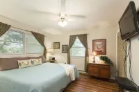 Come to Asheville! Treetop Mountain Views In Downtown AVL - FP, Dog Friendly!