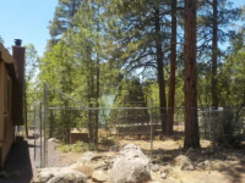 SPECTACULAR MOUNTAIN BLUFF CABIN WITH LAKE VIEWS-FENCED