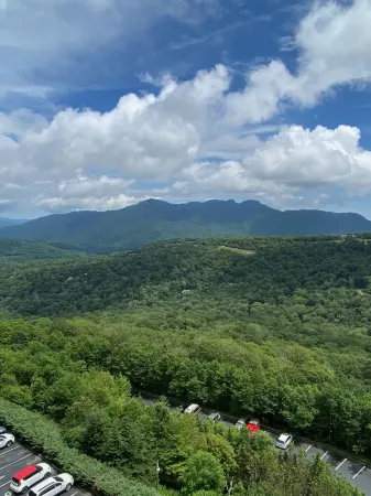 Grandfather Glory. A Luxury Condo With Spectacular View of Grandfather Mountain Отели рядом с достопримечательностью «Колледж Лис-Мак-Рай»