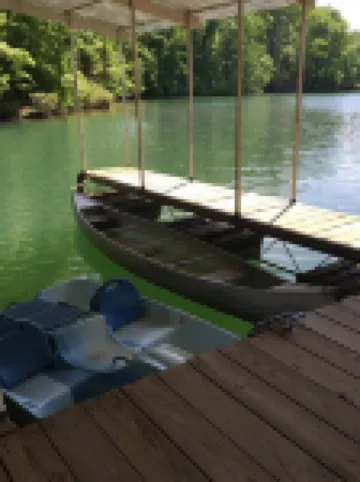 Quiet cove, deep water, minutes to Clemson, pet friendly, easy path to the dock