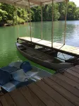 Quiet cove, deep water, minutes to Clemson, pet friendly, easy path to the dock