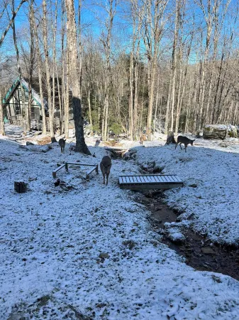 Beech Mountain Hideaway w/ large backyard - 2 min from slopes Отели в г. Бич Маунтин