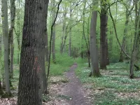 Woodland Lodge Hotels in Hoddesdon