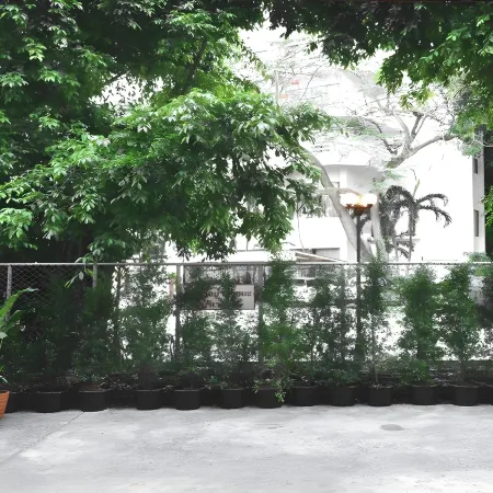 Seedling House