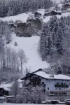 Hotel Wildrose
