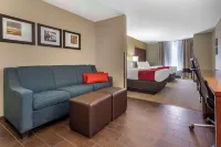 Comfort Suites Bridgeport - Clarksburg
