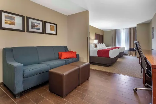 Comfort Suites Bridgeport - Clarksburg