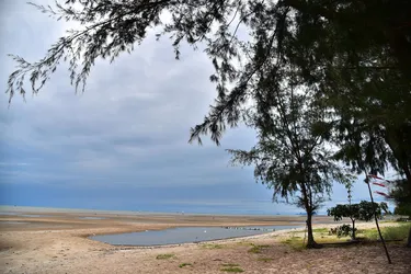 รูปภาพของลิตเติ้ลโฮมบีช กุยบุรี