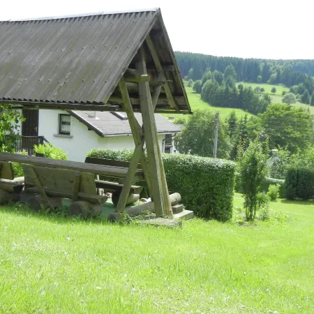 Family-Friendly Forest Home