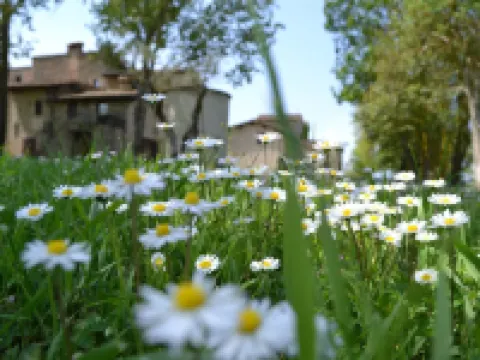 Agriturismo Nestore Hotels in Umbertide