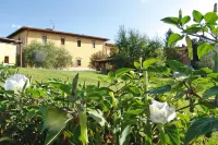 Agriturismo Poggio Al Sole, Vinci
