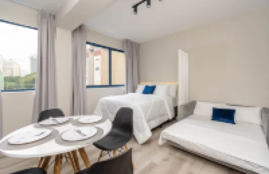 阿佩地鐵衞生納波利斯麥肯錫