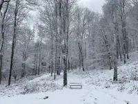 Mountain Forest Retreat w Cedar Hot Tub - Western Catskills 富蘭克林酒店