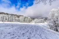 Newly renovated condo w/easy access to ski lodge & private patio