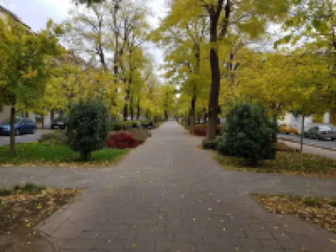 Cozy in Downtown with free parking
