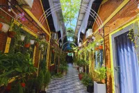 Tween House