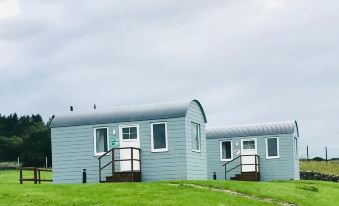 The Snuggly Sheep Shepherd Hut Campview Farm Stay