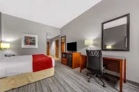 Comfort Inn Kearney I-80 Hotels in Collins