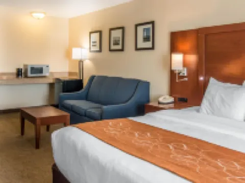 Comfort Suites Hotels in Wixom