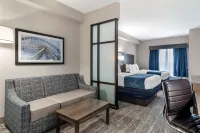 Comfort Suites McDonough Atlanta South Hotels in McDonough