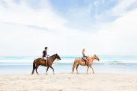 JW Marriott Guanacaste Beach Resort - 5-Star